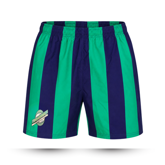 Hibernian Swim Short with Two Tone Stripe - Green/Purple - Mens