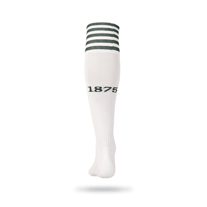 Hibernian Home Socks   2026-27 - Mens