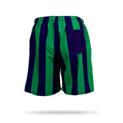 Hibernian Swim Short with Two Tone Stripe - Green/Purple - Mens