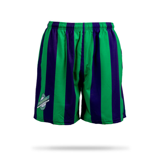 Hibernian Swim Short with Two Tone Stripe - Green/Purple - Mens